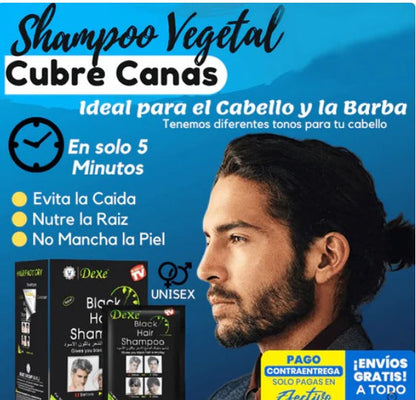 Shampoo Pinta Canas Negro Envío Gratis