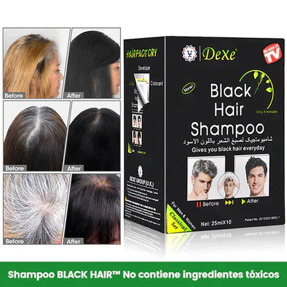 Shampoo Pinta Canas Negro Envío Gratis